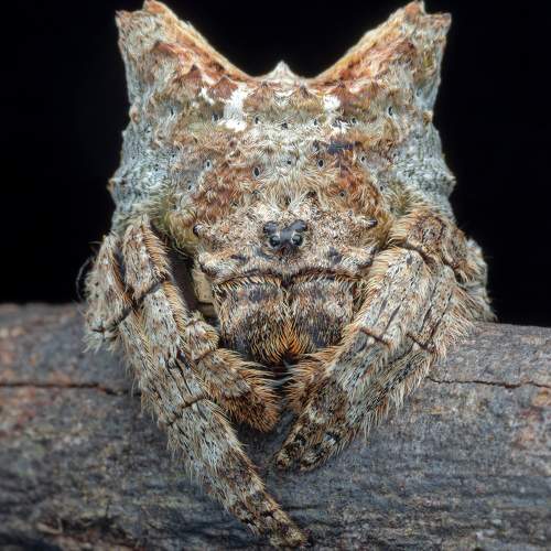 Фотография #8935250