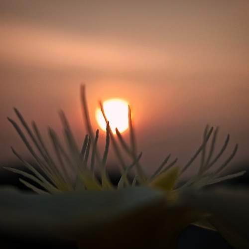 Photo #8935400
