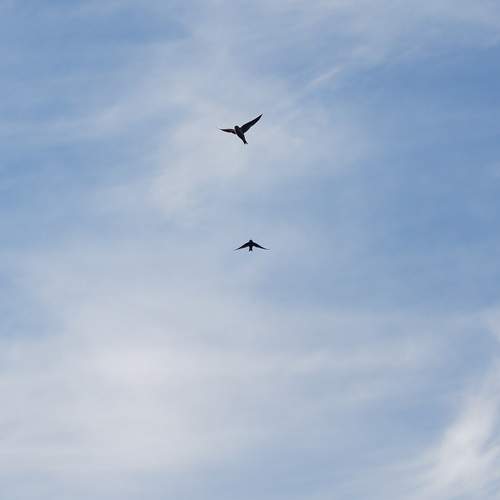 Photo #8935429