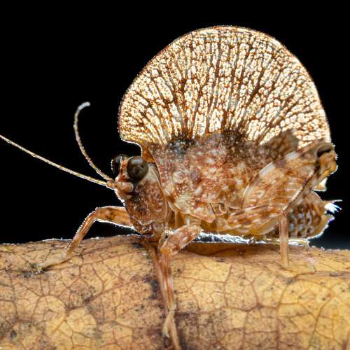 Фотография #8935490