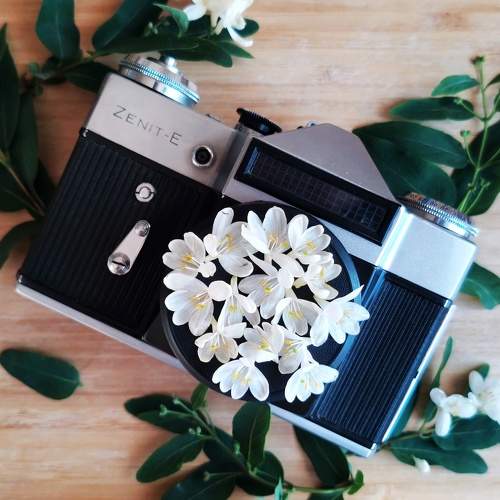 Photo #8935505