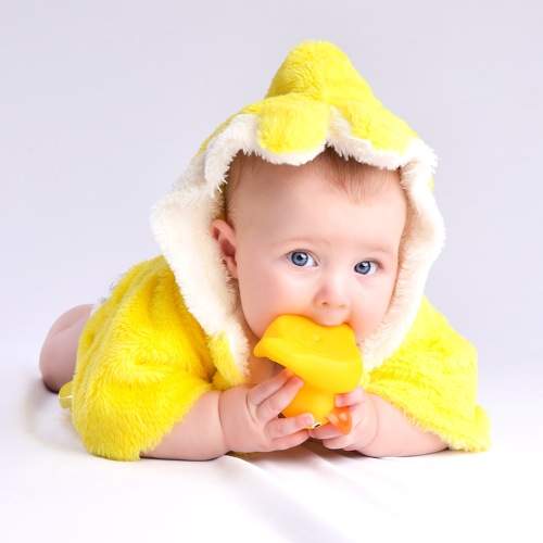 Photo #8935639