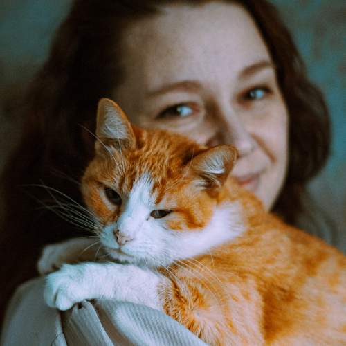 Photo #8935864
