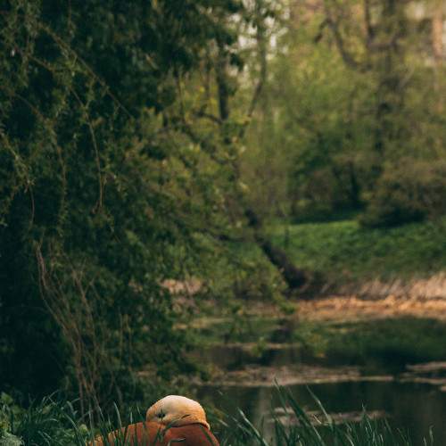 Photo #8935960
