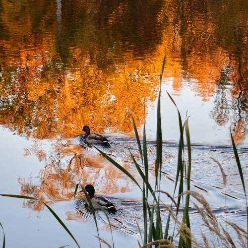 Photo #8936103