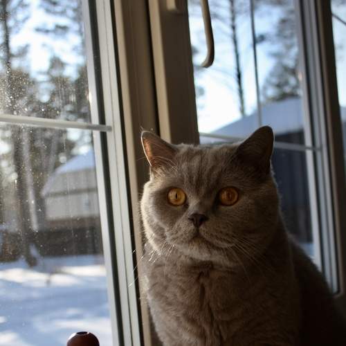 Photo #8936216