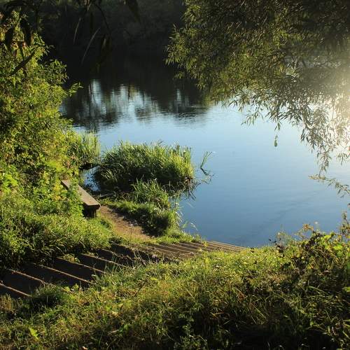 Photo #8936543