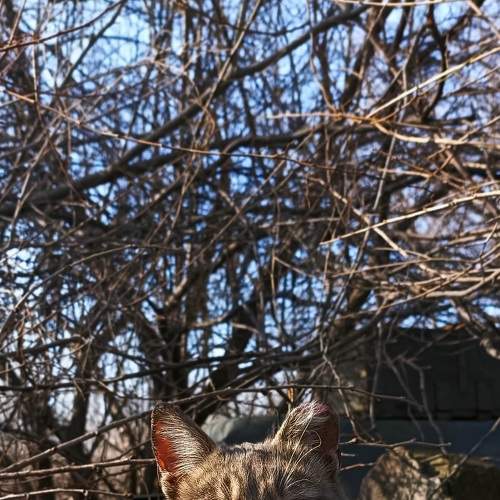Photo #8936706