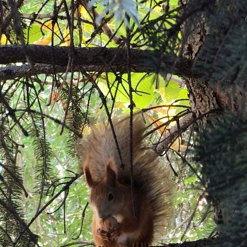 Photo #8936712