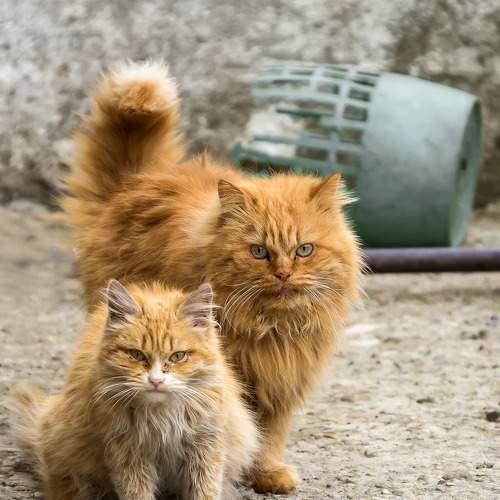 Photo #8936808