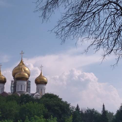 Photo #8936827