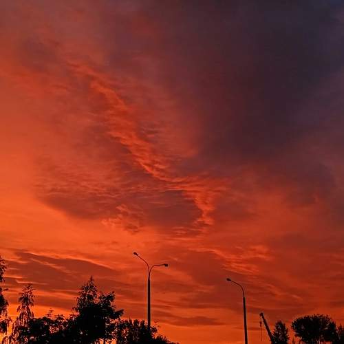 Photo #8936906