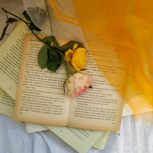 Photo #8936981