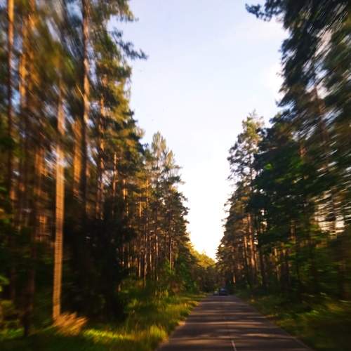 Photo #8936993