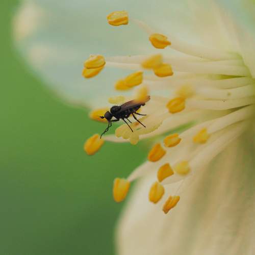 Photo #8937126