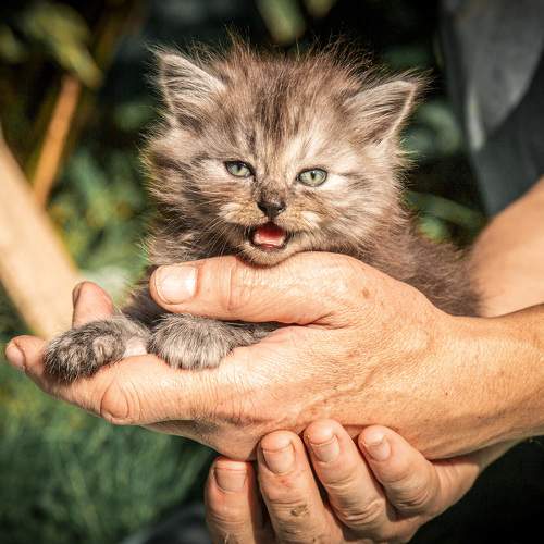 Photo #8937156