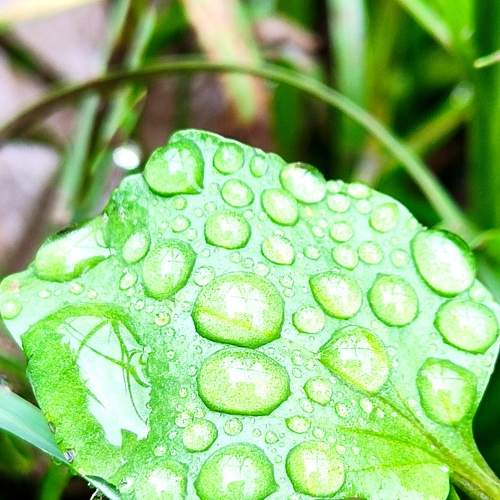 Photo #8937408