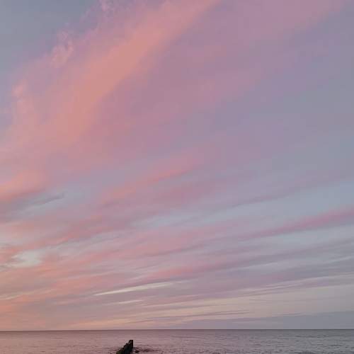 Photo #8937611