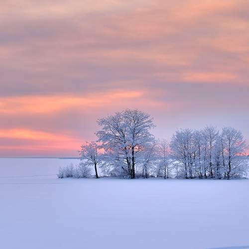 Photo #8937672