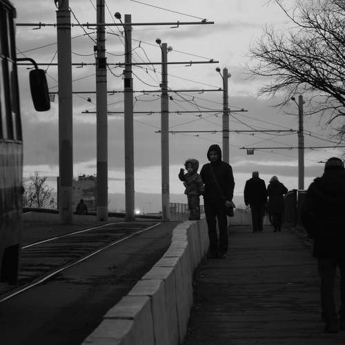 Photo #8938229