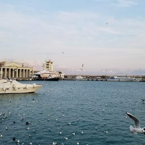 Photo #8938254