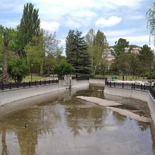 Photo #8938355