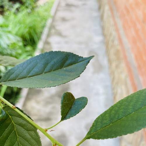 Photo #8938556