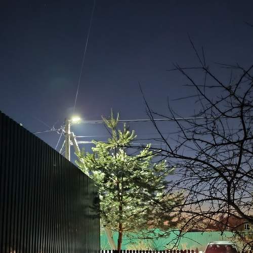 Photo #8938681