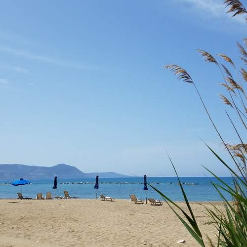 Photo #8938738