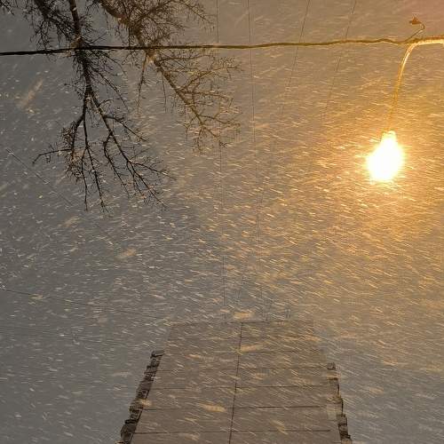 Photo #8938812