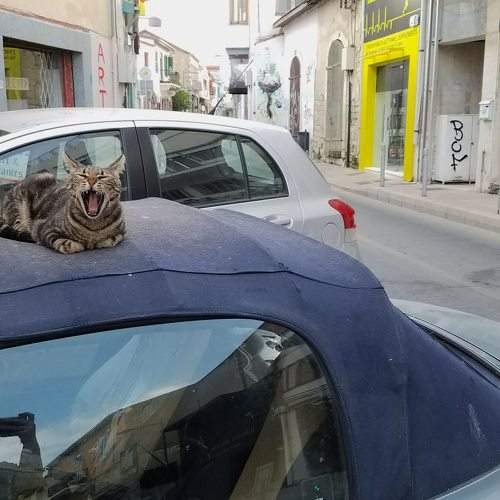 Photo #8938819