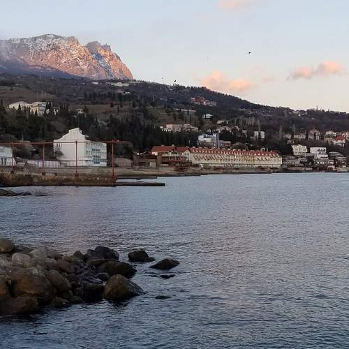 Photo #8938985