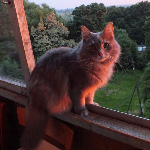 Photo #8939103