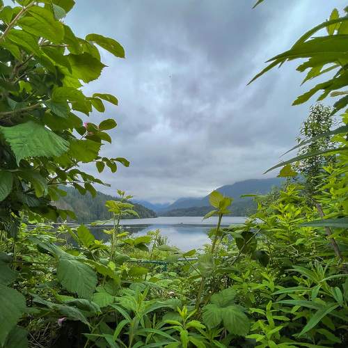 Photo #8939605