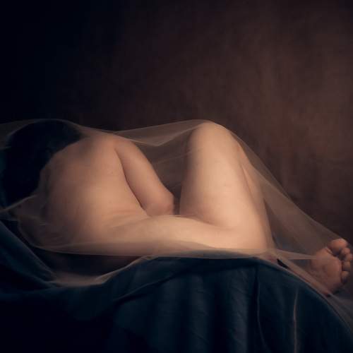 Photo #8939617