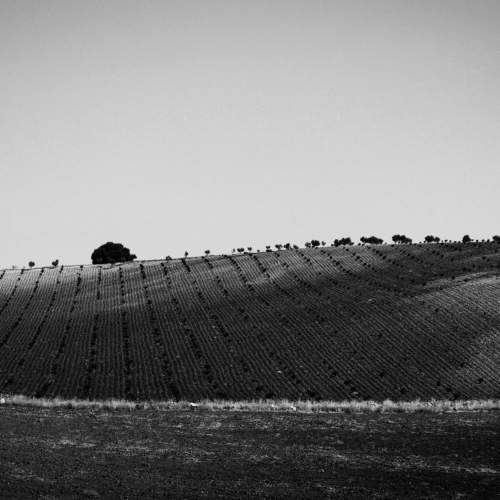 Photo #8939681