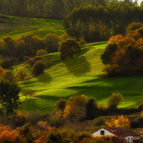 Autumn valley