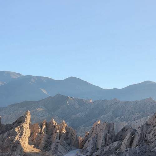 Photo #8940412