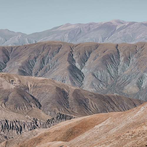 Photo #8940420