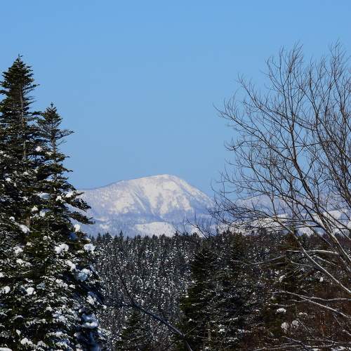 Photo #8940454