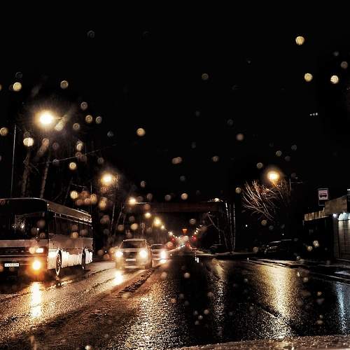 Photo #8940642