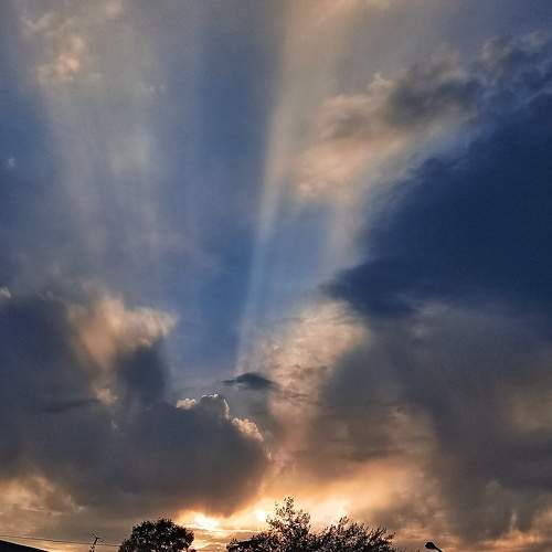 Photo #8940650