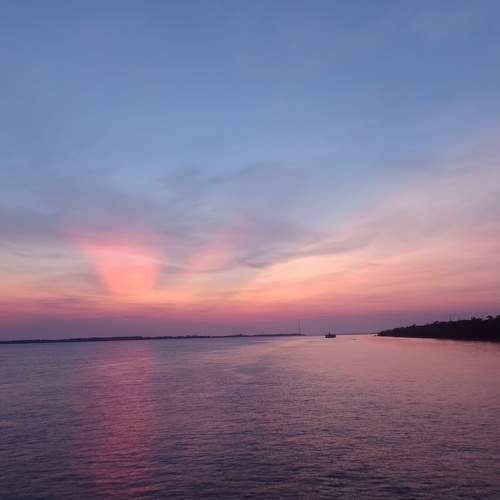 Photo #8940744