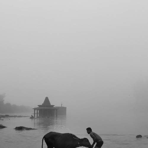 Photo #8940773