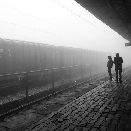 Photo #8940788