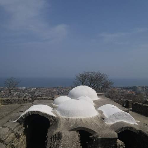 Photo #8940812