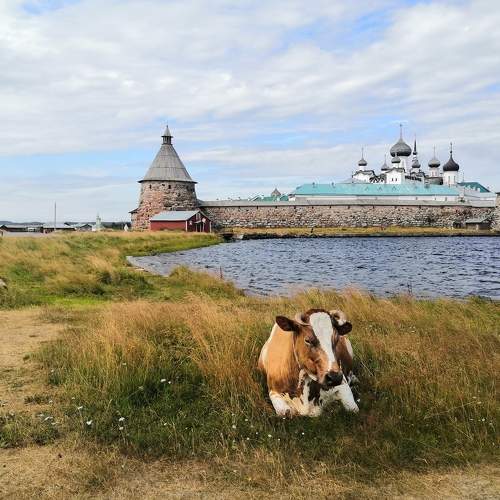Photo #8940814
