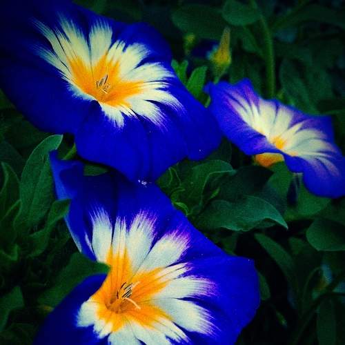 Photo #8940839