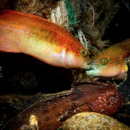 Photo #8940876