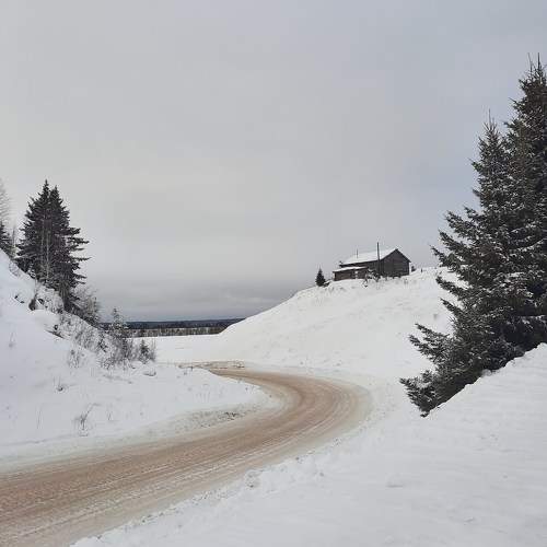 Photo #8941118